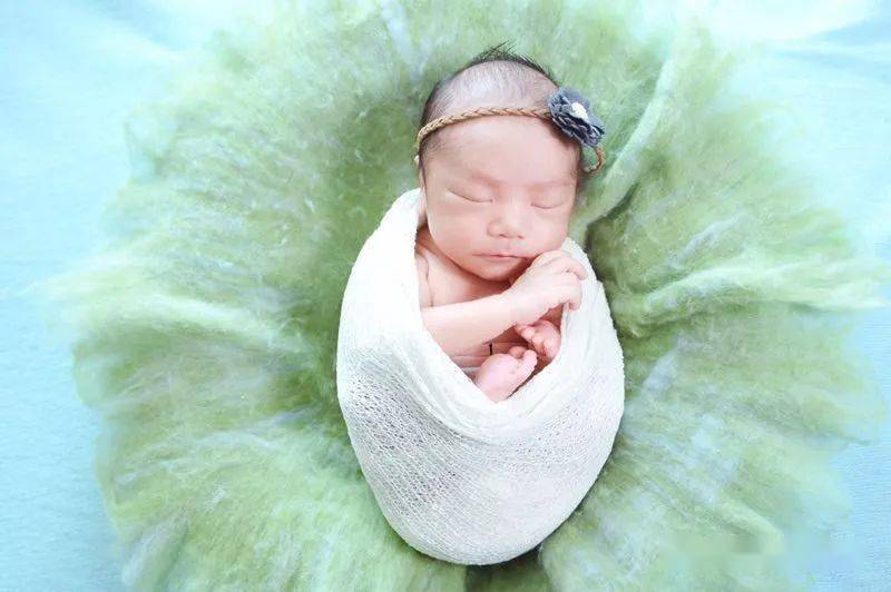 伶牙俐齿是什么生肖动物，权威解释说明