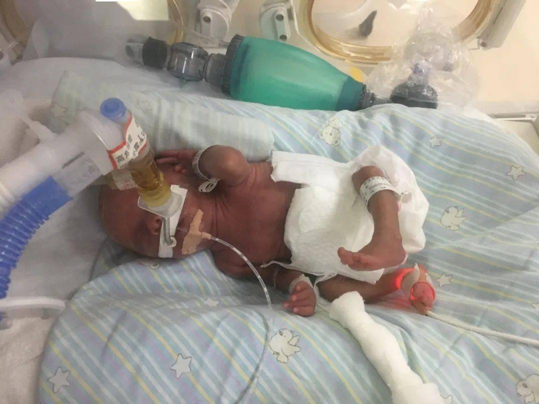 言蹊|天使妈妈月刊 | 2020年8月刊