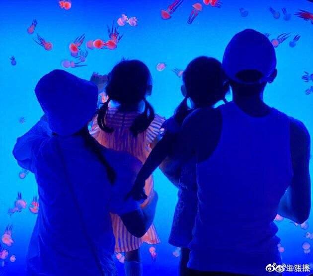 张杰|张杰、谢娜庆祝结婚九周年 晒一家四口背影照很温馨