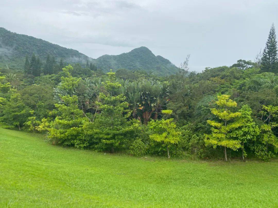 万宁人口_海南万宁照片(3)