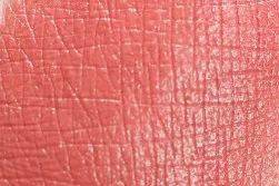 口红|黄皮别再跟风了,网红色都是骗人的!