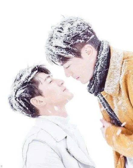 爱情|为何磕CP总戳中你的隐形high点？