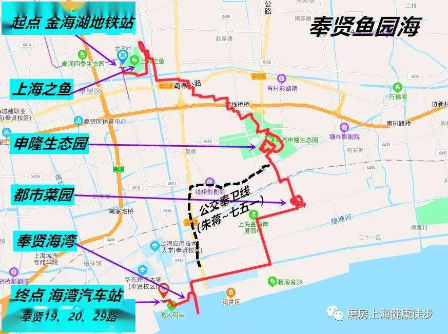 磨房浦东徒步郊野线(20-33期):奉贤鱼园海线 25km | 2020年9月26日