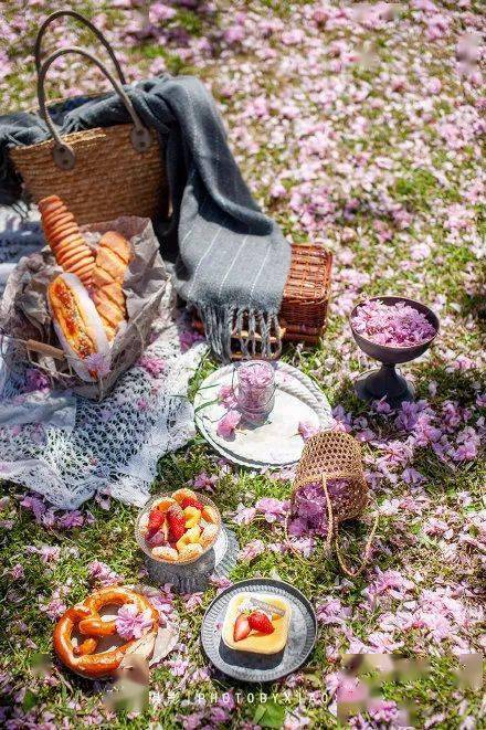 食物|那些明星同款野餐照片，原来是这样拍出来的