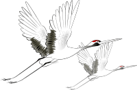 美酒|美食美酒，此刻共享我们在东湖首席组了个「团圆局」