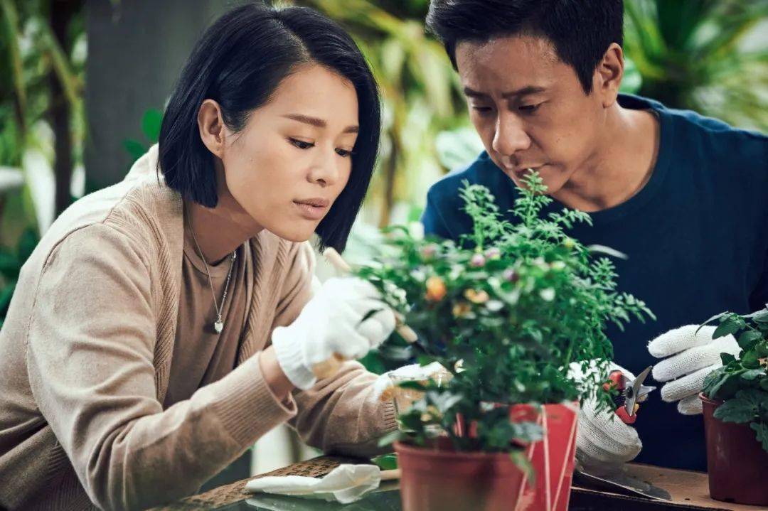 肥田|胡杏儿亮相《演员2》爆肥田时期辛酸史，&新剧佢又扮女强人！！！