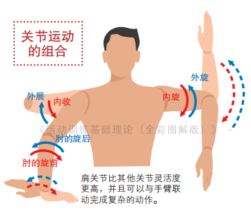 c11a52478cd9494ab5434f637882d556.png