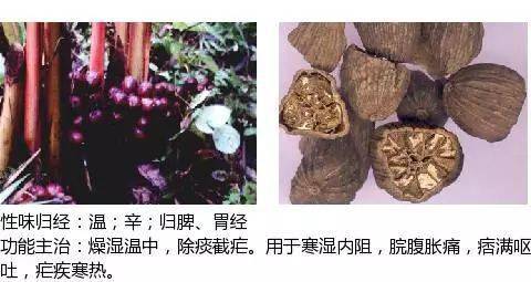 史上最全中草药图谱(附主治功效)