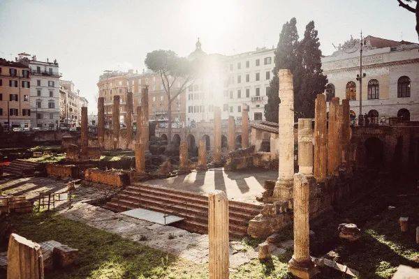 �����»���