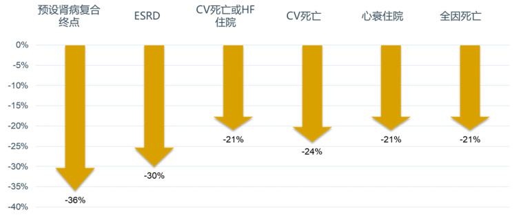 方案|CKD患者如何保护心肾？这个前沿方案你需要了解！
