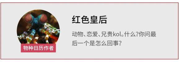 狗吃屎|一个你不好意思问的问题:狗吃屎有营养吗?