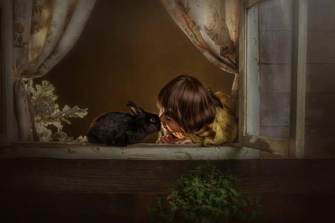 访谈|茄子访谈 | 小单摄影,享受一张照片从无到有的过程