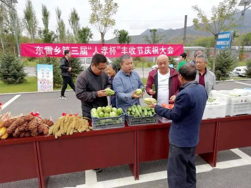 东雷乡人口_人口普查图片(2)