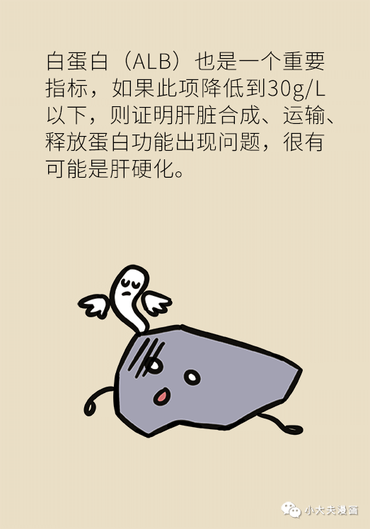 转氨酶|肝功转氨酶高就是肝硬化？未必！这几个指标才是重点