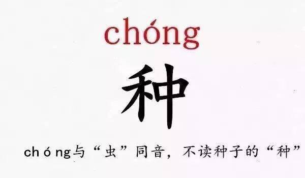 厍姓氏读音是什么 814531732e784c86b6f531759c23adb5.jpeg