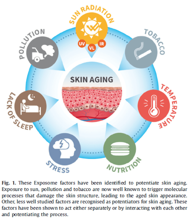 皮肤|小S“摇钱树”计划稳了！母女同登封面似姐妹这是医美的力量？