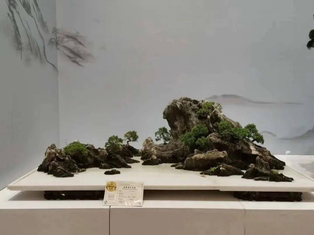 二,山水盆景(水旱盆景 15盆一,树木盆景 105盆本次盆景艺术展分为五