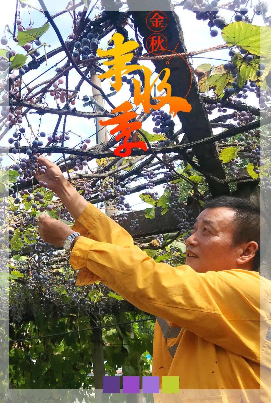 c41c8003ab35407bba545668ad6e1ff7.jpeg