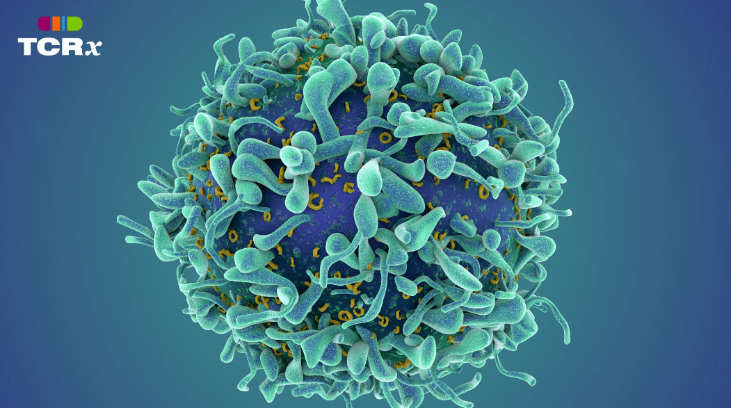 免疫是什么项目 c6f60fd2c00e4171a4f0cf4465cb49d0.png