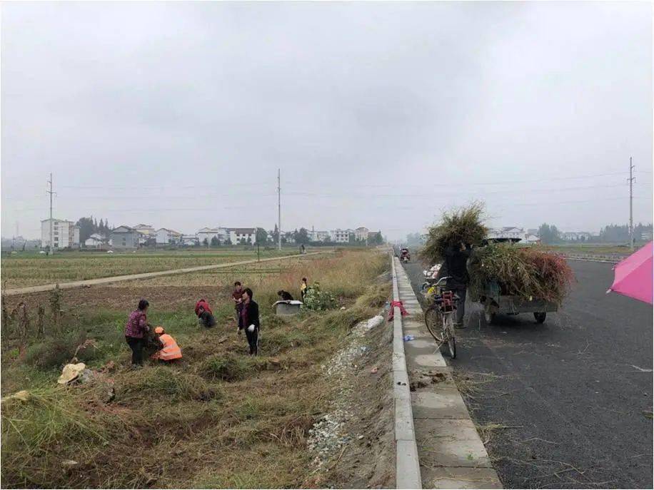 浙江金华傅村居住人口_金华傅村