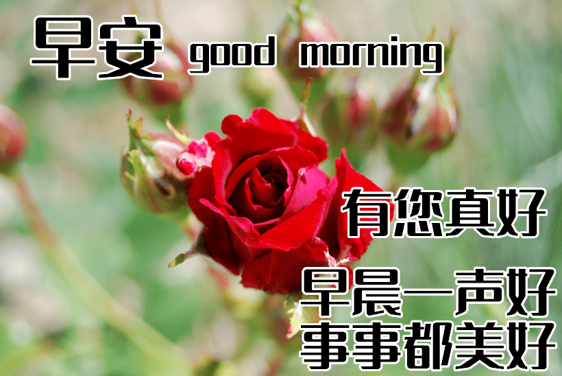 10月2日最漂亮早上好动态表情图片大全早晨好动图美图大全