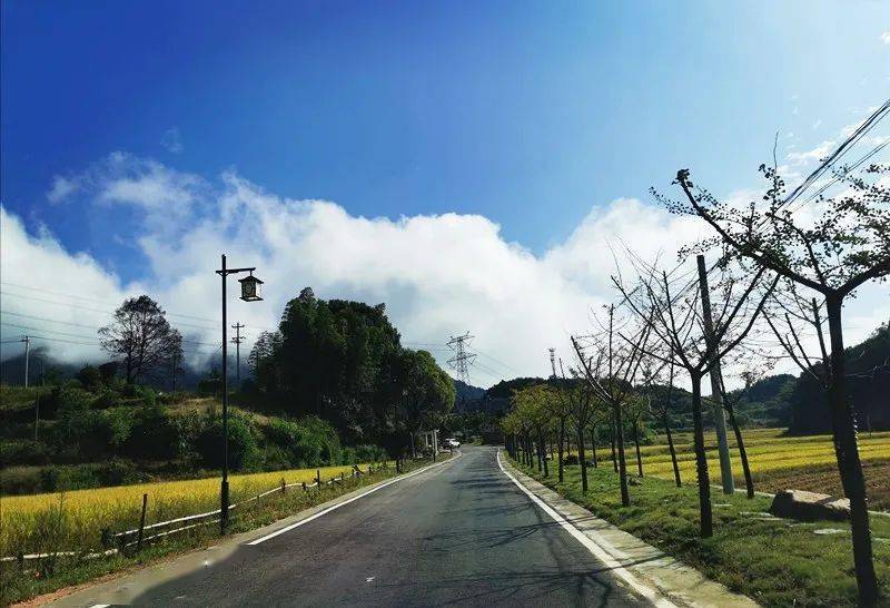 会龙池村位于三角山腹地,论自然景观,古树溶洞,河潭飞瀑,摩崖石刻星