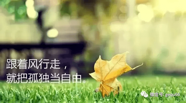 5e8359e9345a4a53a8d50a19443bc912.png