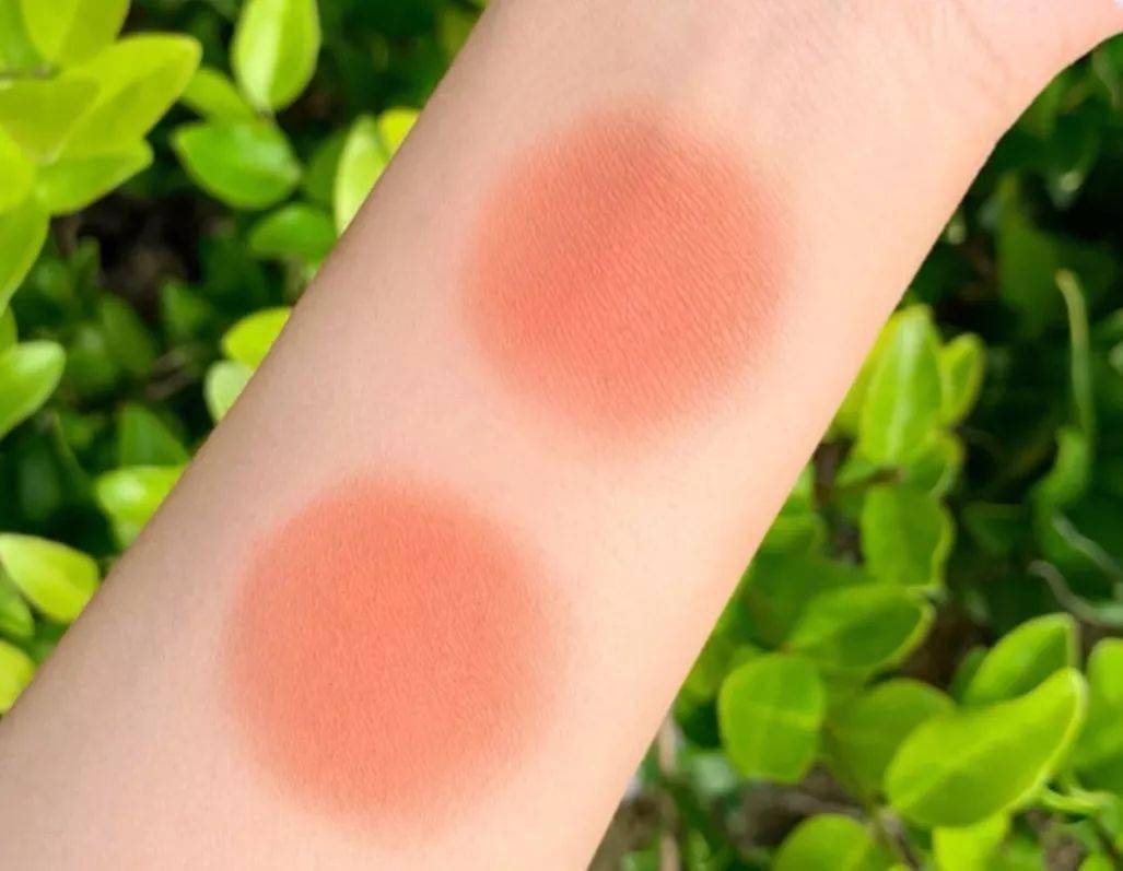 井柏然|井柏然杨紫官宣：我们在一起了！