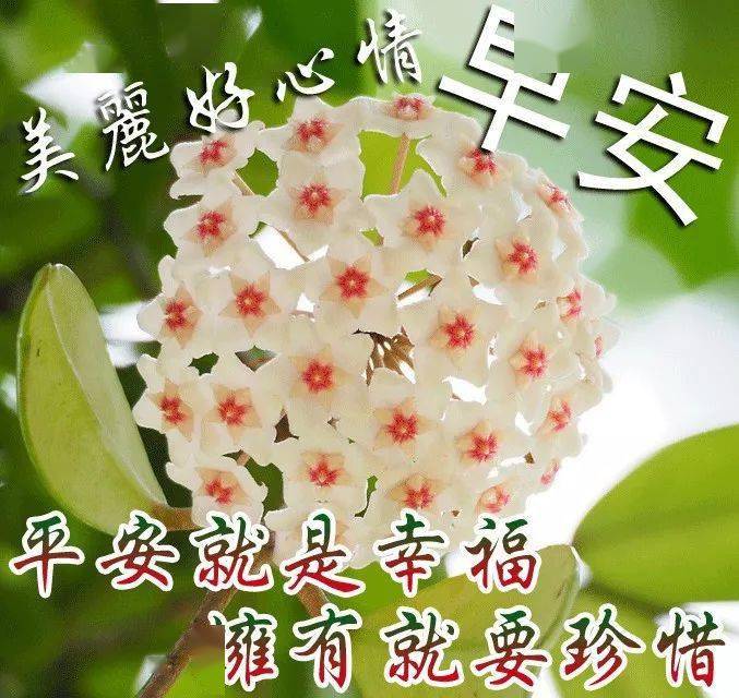 国庆早安正能量阳光问候 很暖心清晨早安问候祝福语录