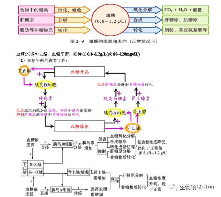 一轮复习高中生物神经调节专题笔记考生必备