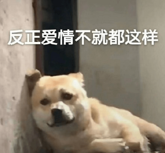 大学生|离“注孤生”就不远了！当代大学生单身理由大赏！中3条以上