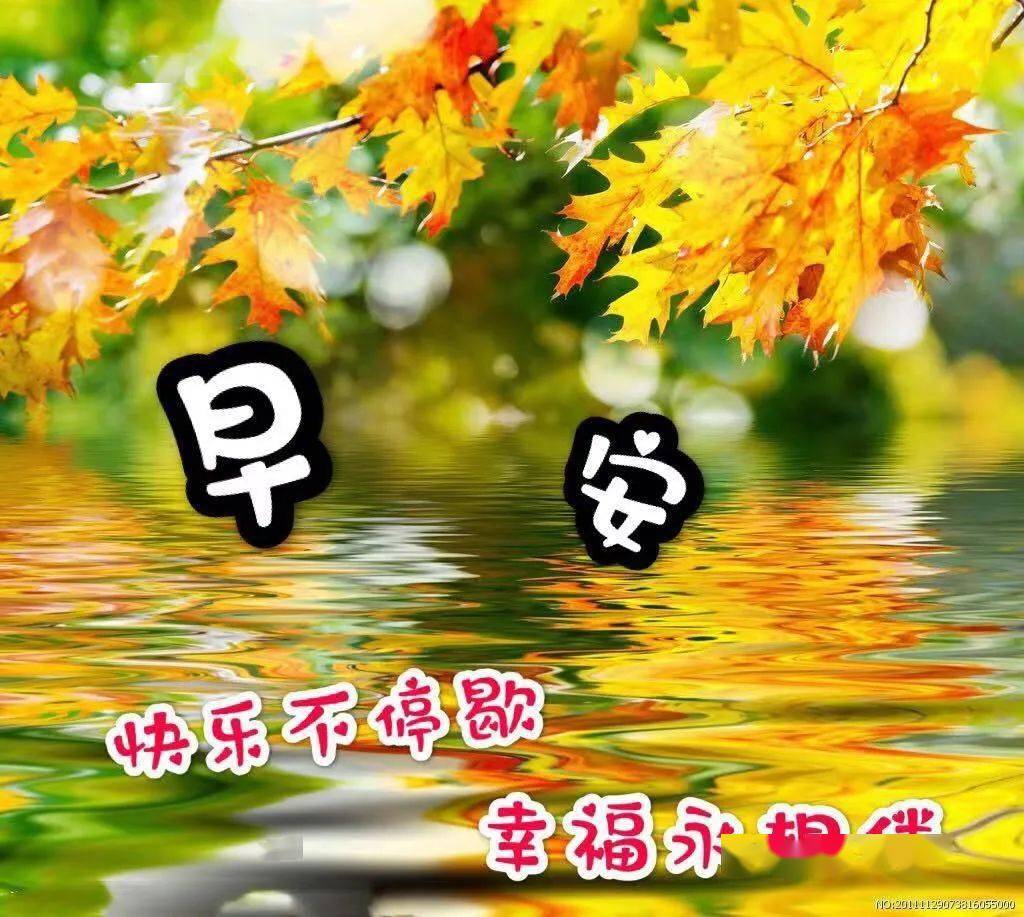 7张最美秋天枫叶早安图片带字带祝福语 秋日风景早上好问候祝福图片