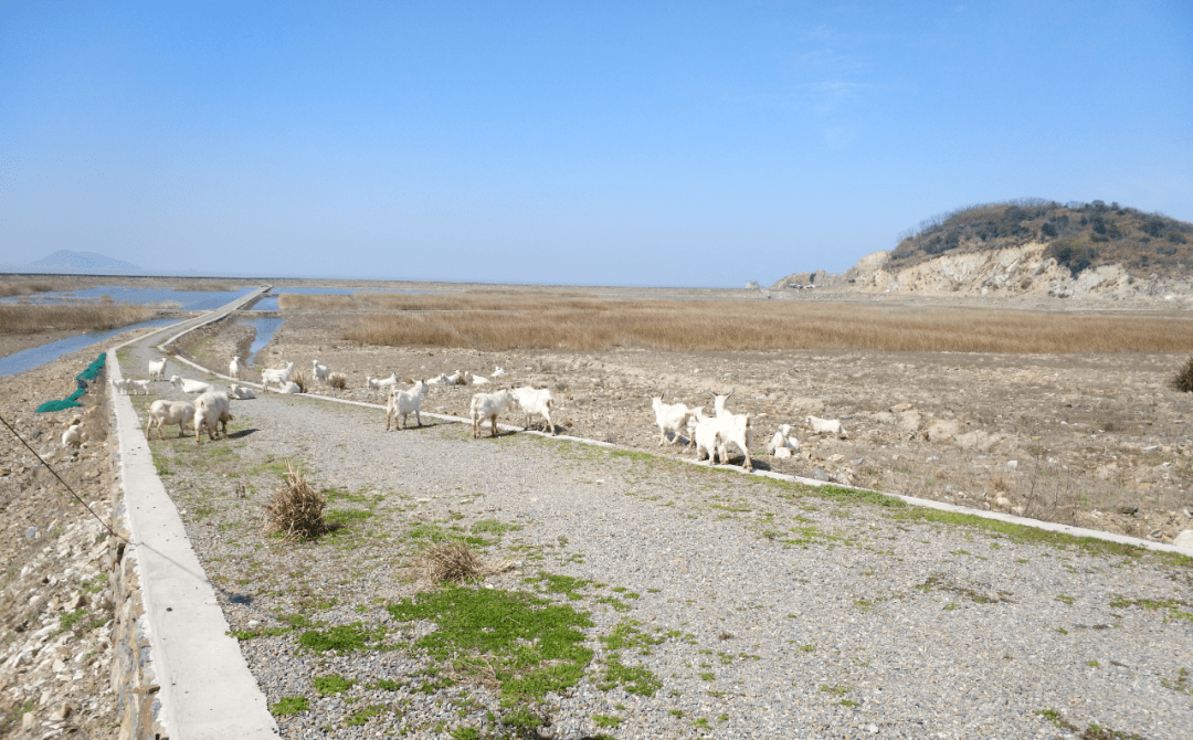 临潭羊沙人口_临潭地图