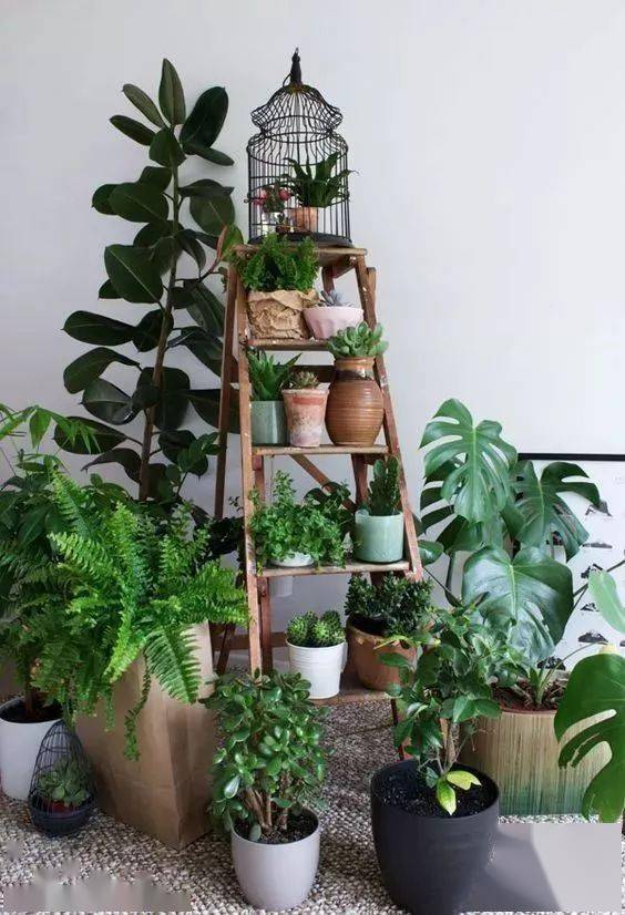 结构|家再小，也能建造的这些小花园！