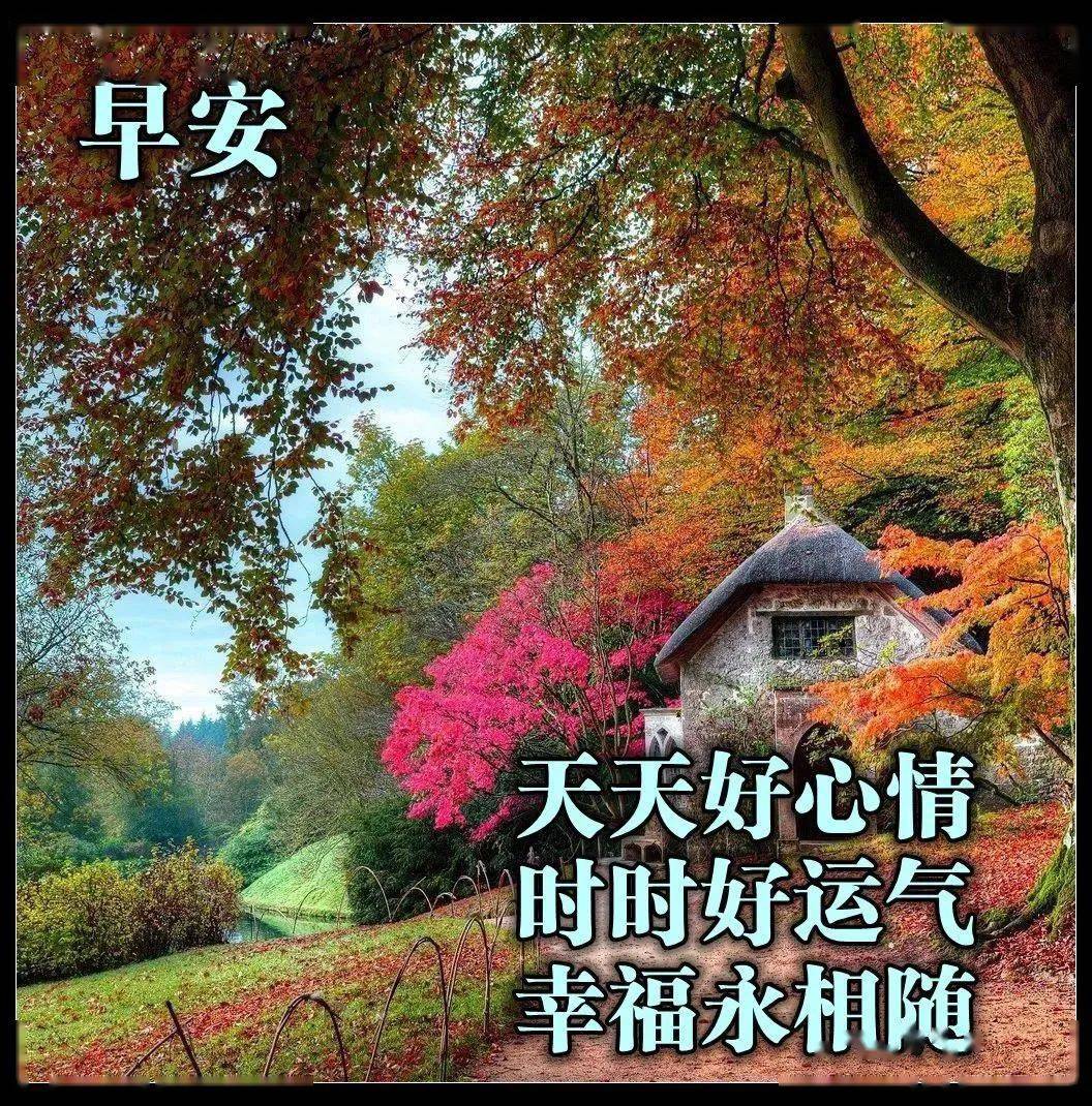 7张秋日最美枫叶早安图片带字带祝福语 10月最暖心的秋天早上好问候
