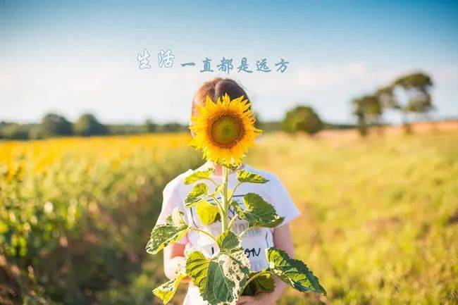 清晨分享最走心的早安心语 特别珍贵的早安阳光句子合集