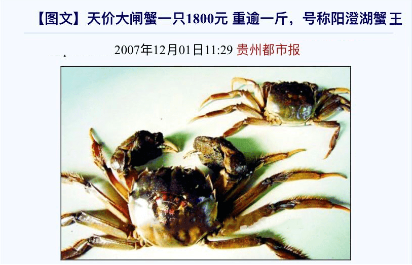 螃蟹|99%是冒牌货：吃到一只正宗阳澄湖大闸蟹，到底有多难？