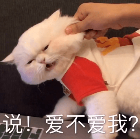 猫咪表情包我是莫得感情的杀手