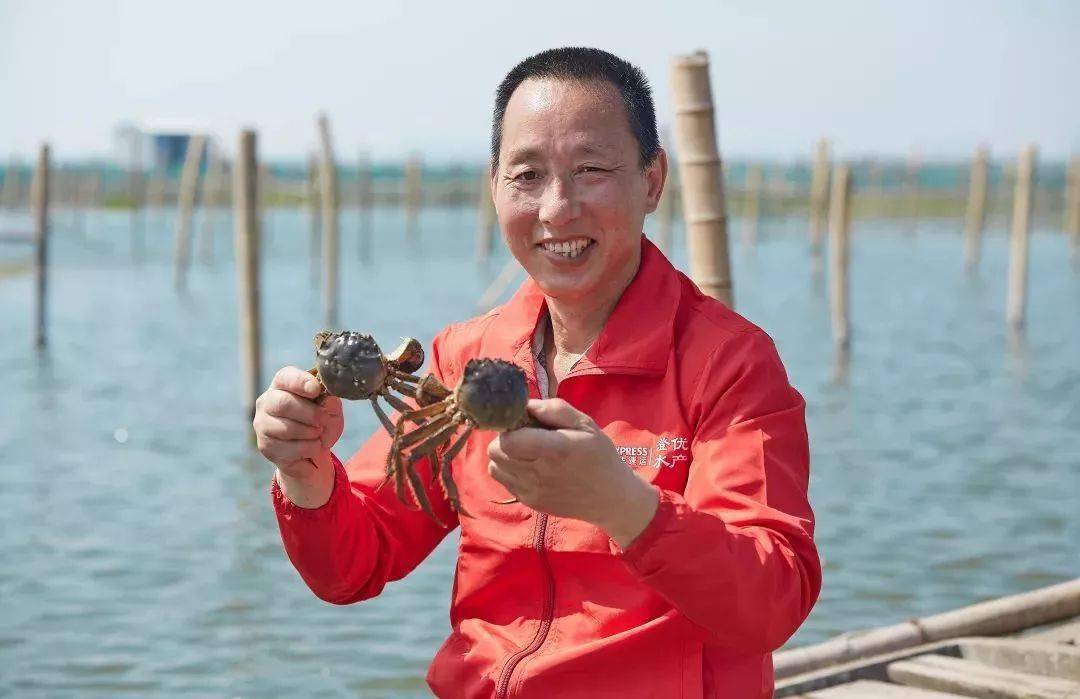 阳澄湖|什么是好吃的大闸蟹！咬一口“biu~”爆膏流黄15年老蟹农告诉你