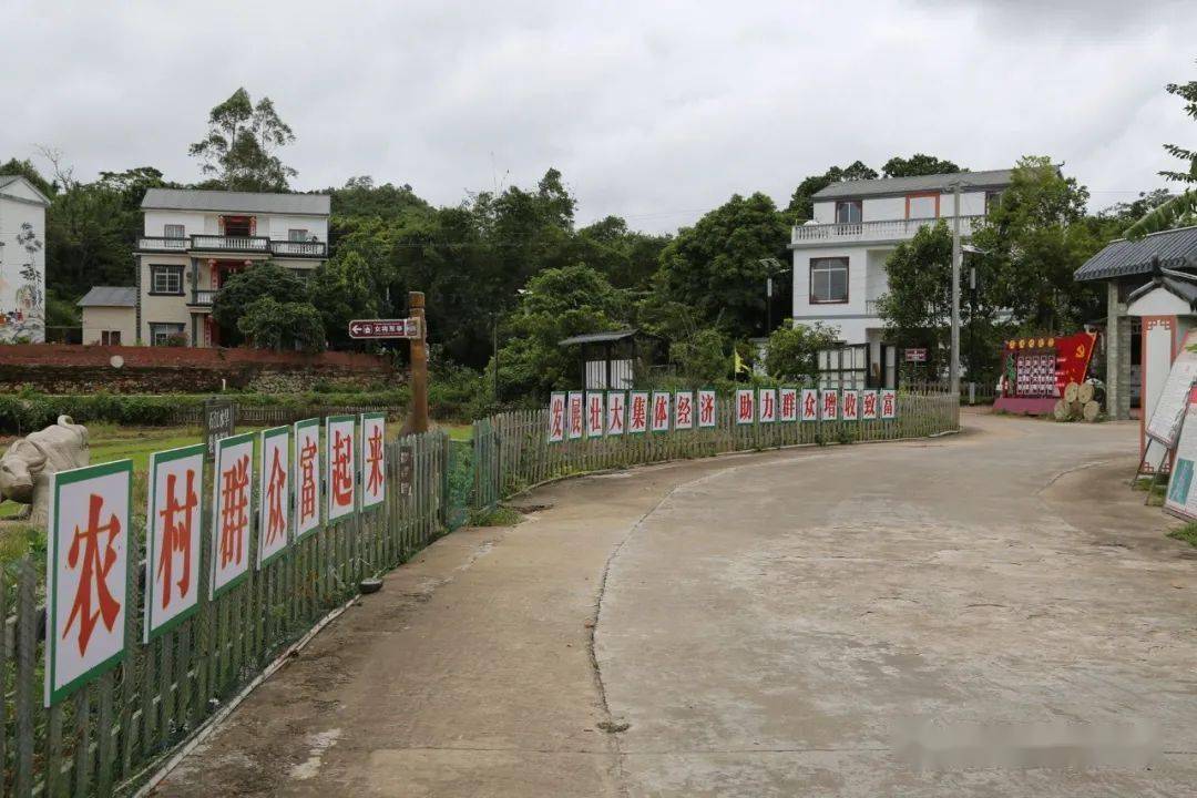 那漏村:青山映照,竹韵悠悠,流水淙淙绕村头▲防城港市东兴市江平镇那