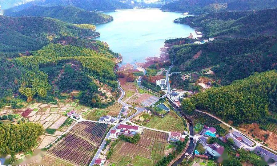 快来镇海,赏花登山看海随你选!_九龙湖