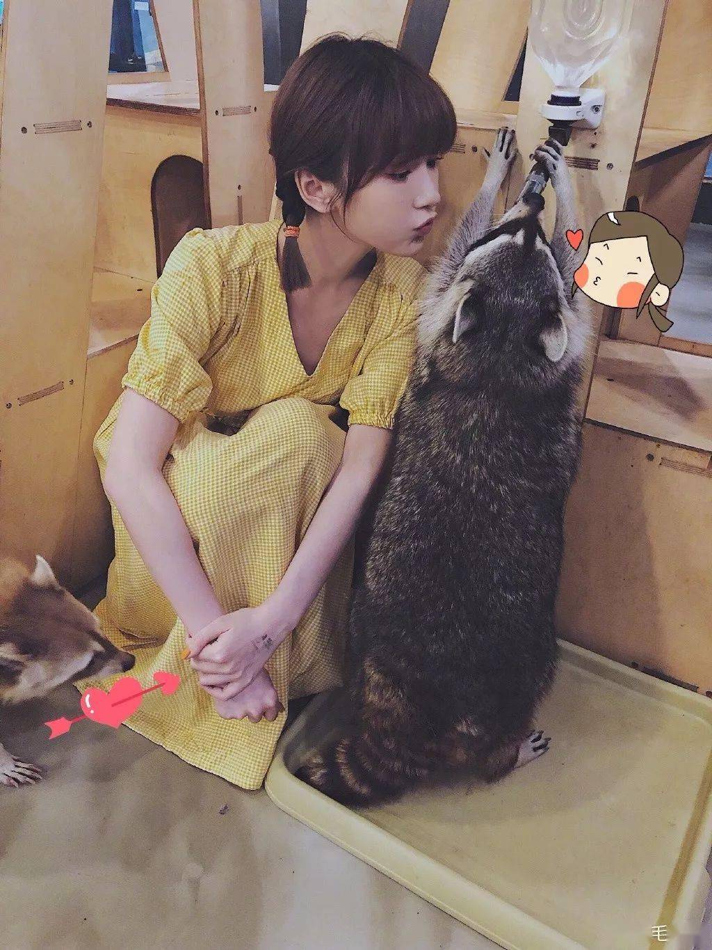 头发|短发尴尬期，原来这么美