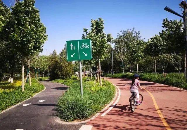 指南】文旅君将为大家推荐北京的4家骑行公园或穿梭在树林花海或沿绿