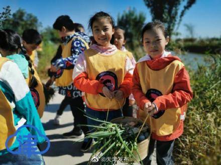 收货|钓螃蟹、挖红薯、掰玉米……收货的季节这么过！