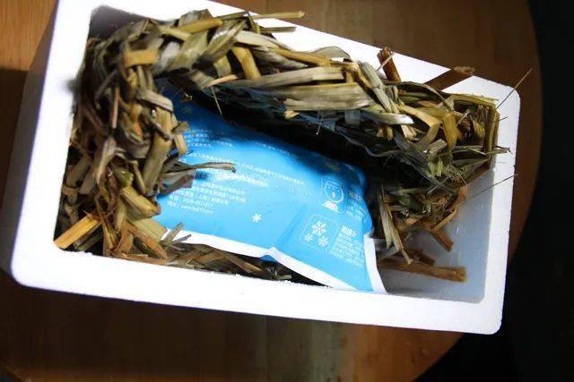 所有人|阳澄湖大闸蟹可以提现货啦~@所有人