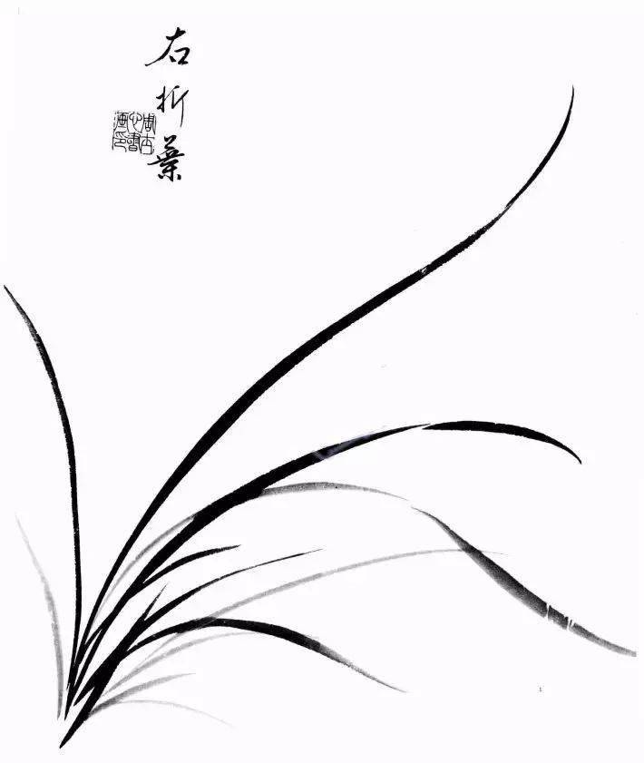 图文教程:兰花的各种画法详解(上)_折叶