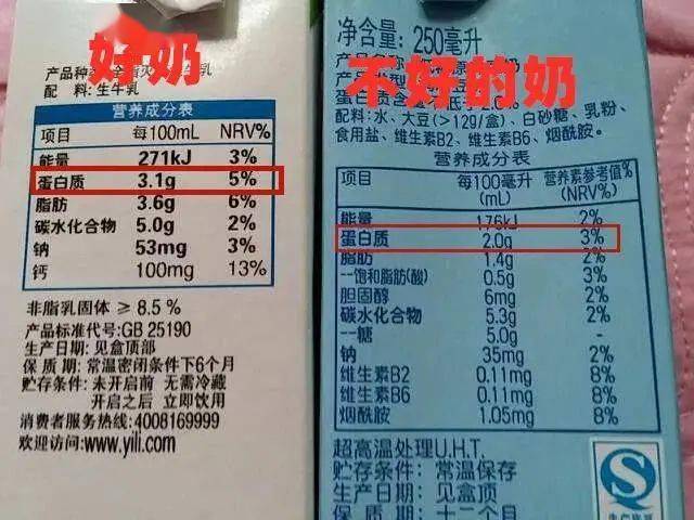 牛奶蛋白质含量多少是标准的 98682fe39234468f92ac1854e4bf2daa.jpeg