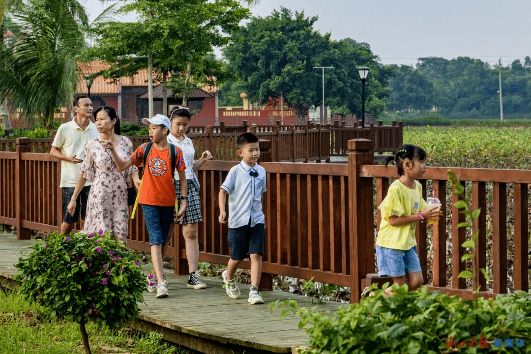 返程自驾车游客利用空闲时间到海口周边领略美丽乡村成为假期后半段