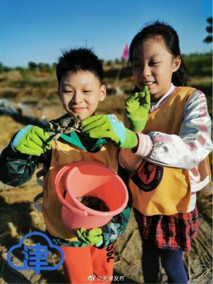 收货|钓螃蟹、挖红薯、掰玉米……收货的季节这么过！