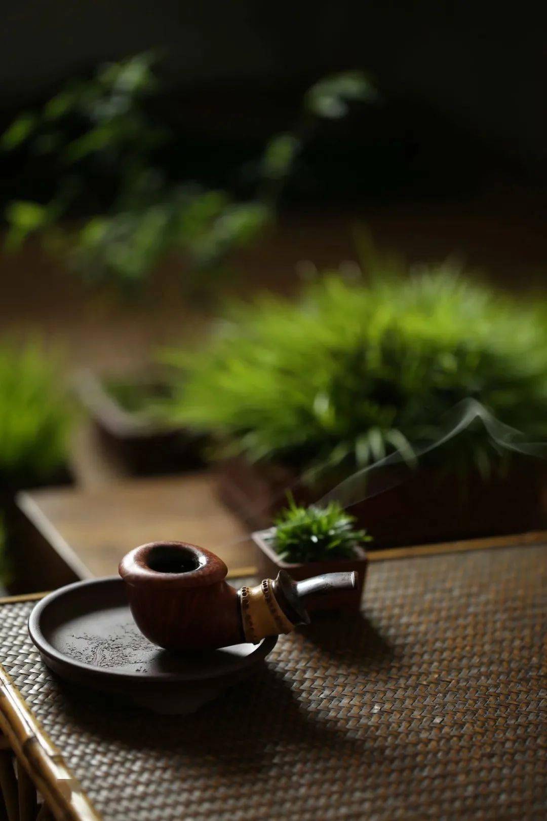 禅境 花草文房,自成一隅世界